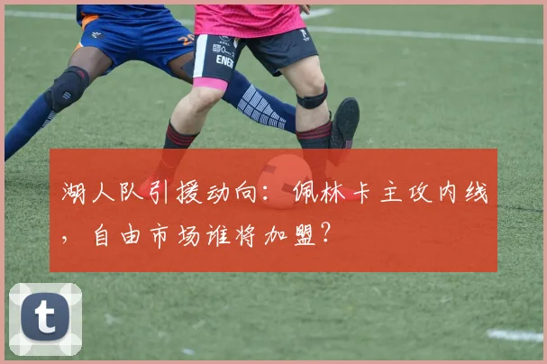 湖人队引援动向:佩林卡主攻内线,自由市场谁将加盟?